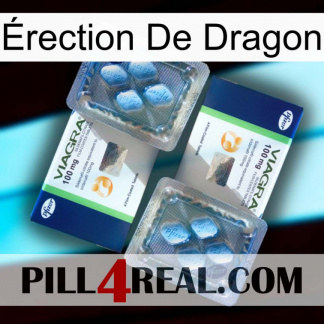 Érection De Dragon viagra5